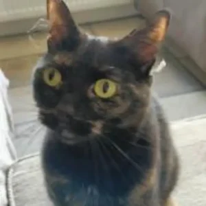 1789034907759-iqffg1